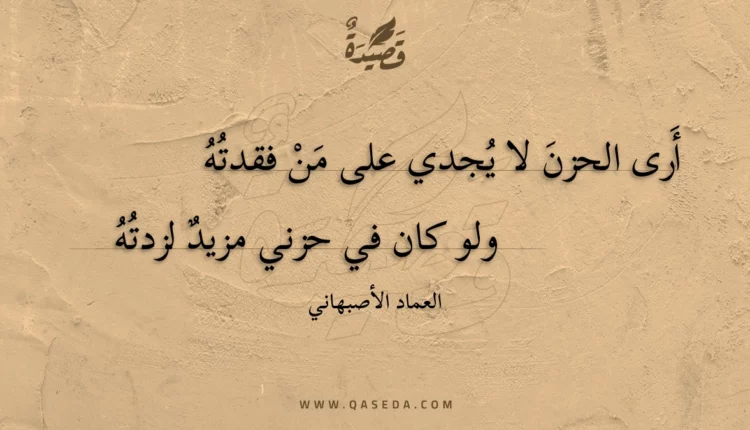 قصيدة أرى الحزن لا يجدي على من فقدته