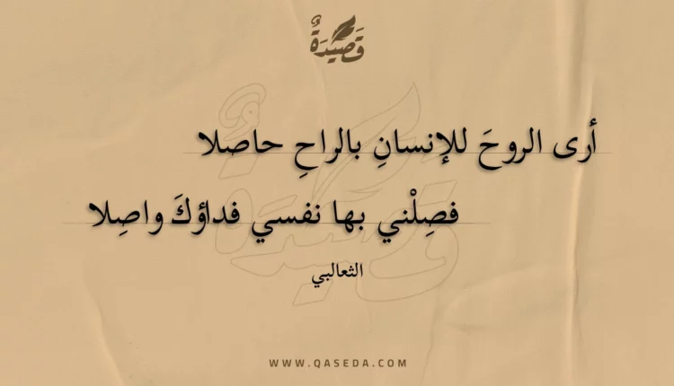 قصيدة أرى الروح للإنسان بالراح حاصلا