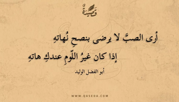 قصيدة أرى الصب لا يرضى بنصح نهاته