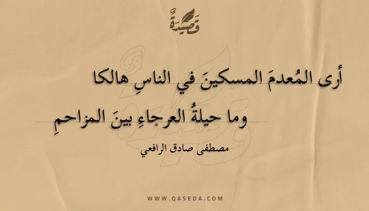 قصيدة أرى المعدم المسكين في الناس هالكا