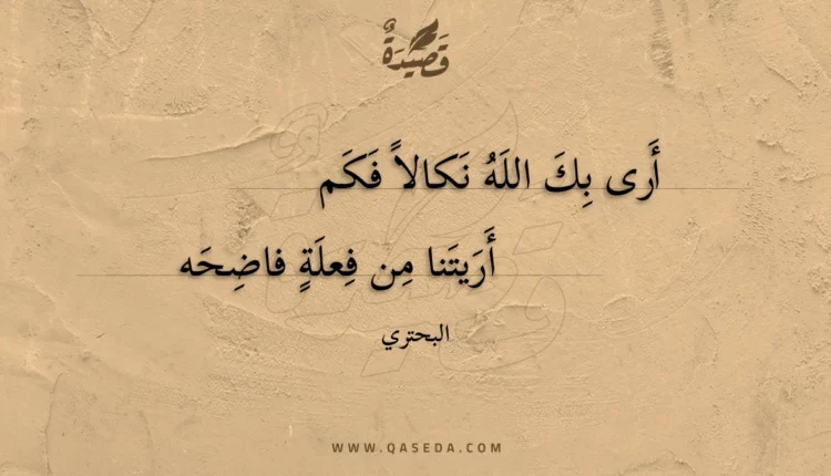 قصيدة أرى بك الله نكالا فكم