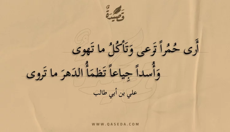 قصيدة أرى حمرا ترعى وتأكل ما تهوى