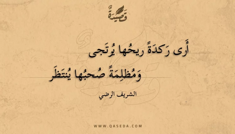 قصيدة أرى ركدة ريحها يرتجى