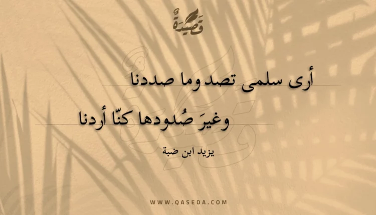 قصيدة أرى سلمى تصد وما صددنا
