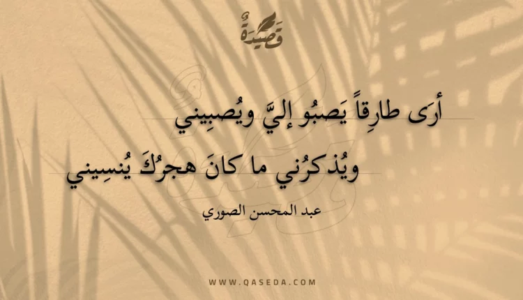 قصيدة أرى طارقا يصبو إلي ويصبيني