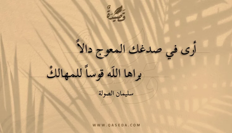 قصيدة أرى في صدغك المعوج دالا