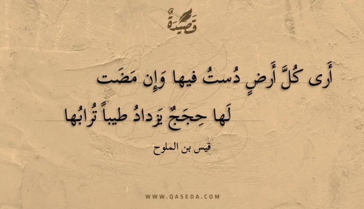 قصيدة أرى كل أرض دست فيها وإن مضت