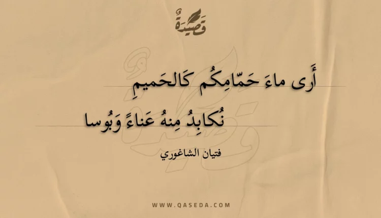 قصيدة أرى ماء حمامكم كالحميم