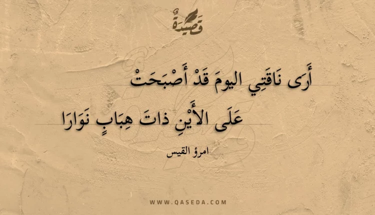 قصيدة أرى ناقتي اليوم قد أصبحت