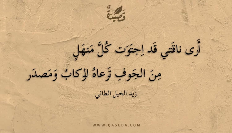 قصيدة أرى ناقتي قد اجتوت كل منهل