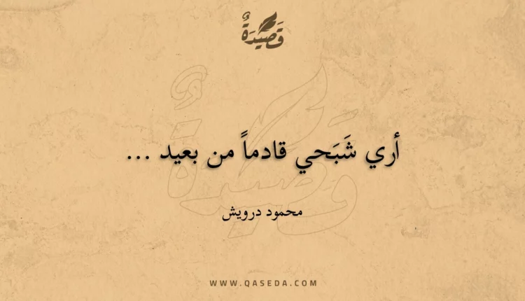 قصيدة أري شَبَحي قادماً من بعيد ...