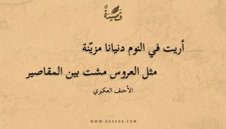 قصيدة أريت في النوم دنيانا مزينة
