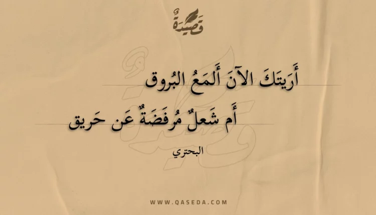 قصيدة أريتك الآن ألمع البروق