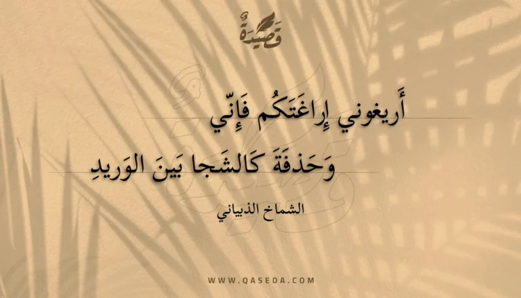 قصيدة أريغوني إراغتكم فإني