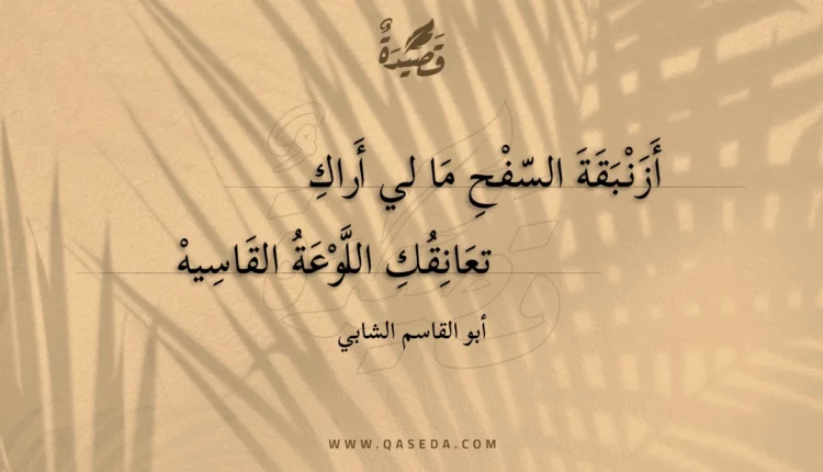 قصيدة أزنبقة السفح ما لي أراك