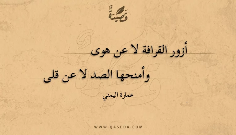 قصيدة أزور القرافة لا عن هوى