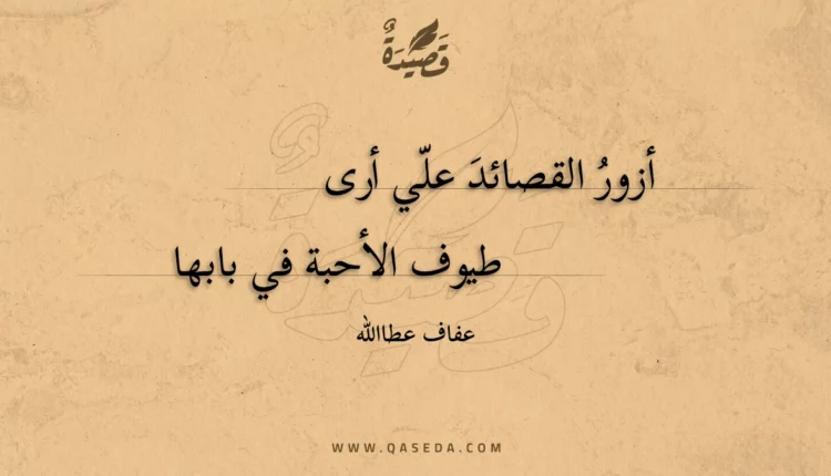 قصيدة أزور القصائد علي أرى