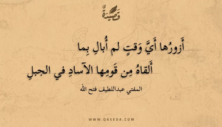 قصيدة أزورها أي وقت لم أبال بما