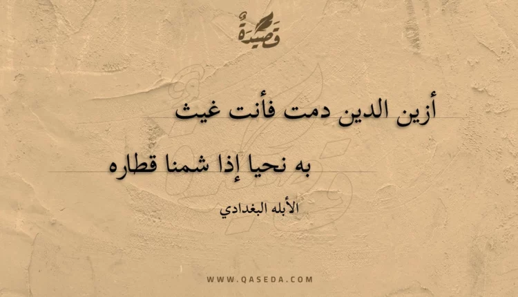قصيدة أزين الدين دمت فأنت غيث