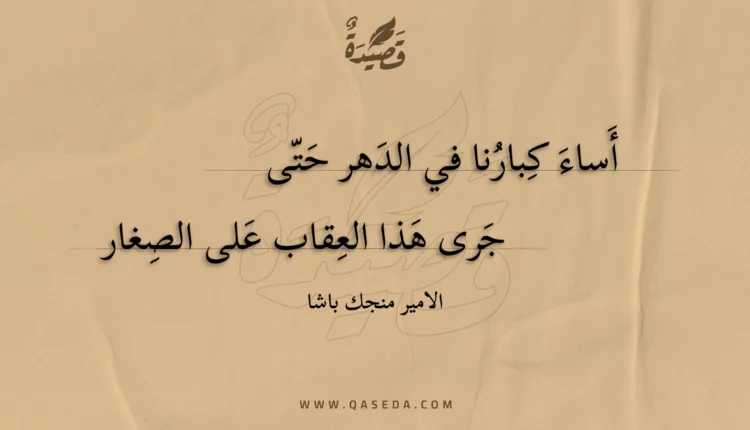 قصيدة أساء كبارنا في الدهر حتى