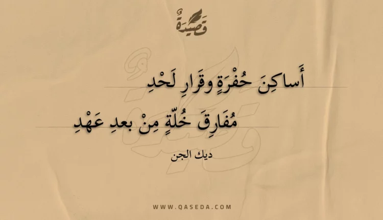 قصيدة أساكن حفرة وقرار لحد