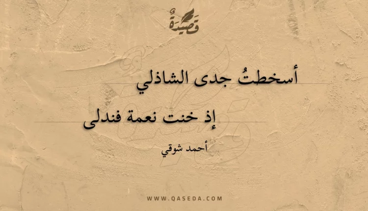 قصيدة أسخطت جدى الشاذلي