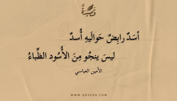 قصيدة أسد رابض حواليه أسد