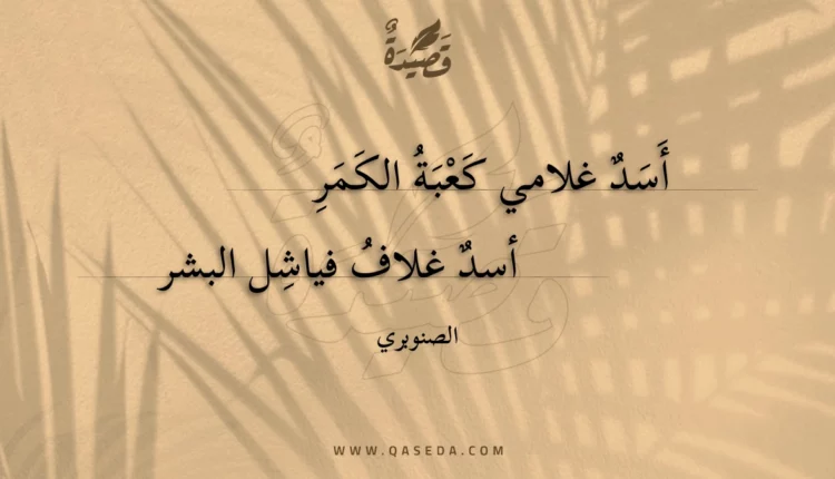 قصيدة أسد غلامي كعبة الكمر