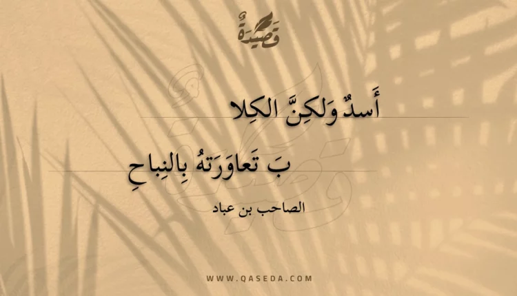 قصيدة أسد ولكن الكلاب
