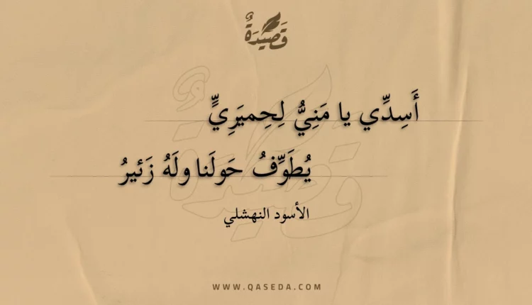 قصيدة أسدي يا مني لحميري
