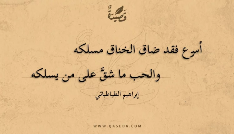 قصيدة أسرع فقد ضاق الخناق مسلكه