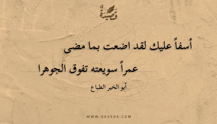قصيدة أسفا عليك لقد اضعت بما مضى