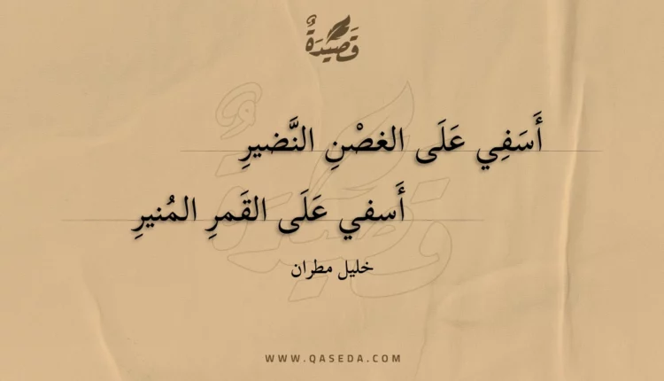 قصيدة أسفي على الغصن النضير