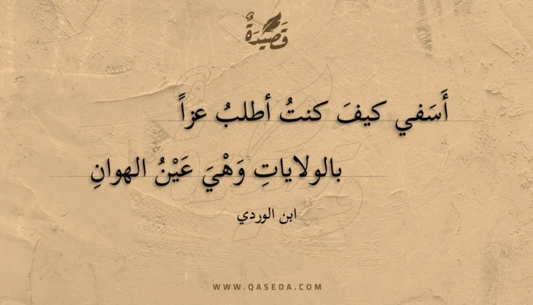قصيدة أسفي كيف كنت أطلب عزا