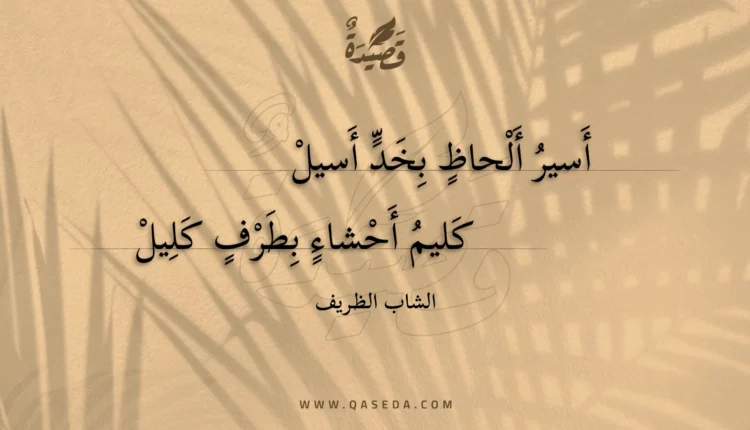 قصيدة أسير ألحاظ بخد أسيل