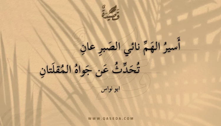 قصيدة أسير الهم نائي الصبر عان