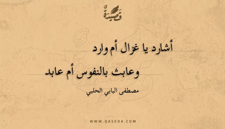 قصيدة أشارد يا غزال أم وارد