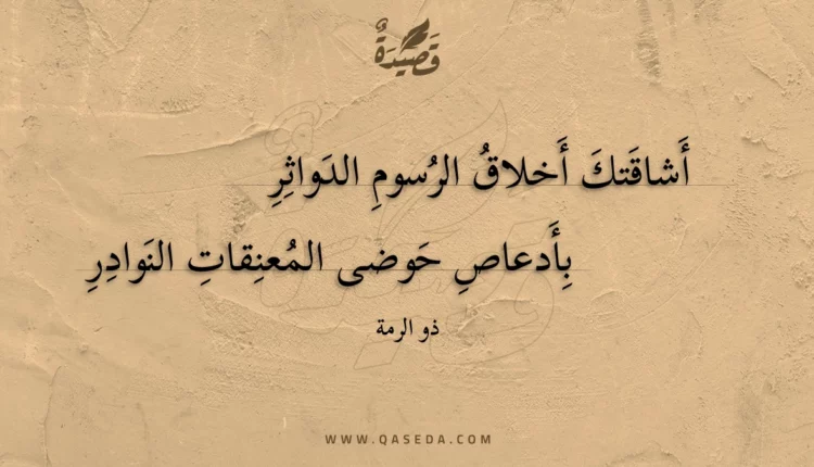 قصيدة أشاقتك أخلاق الرسوم الدواثر