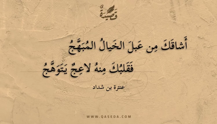 قصيدة أشاقك من عبل الخيال المبهج