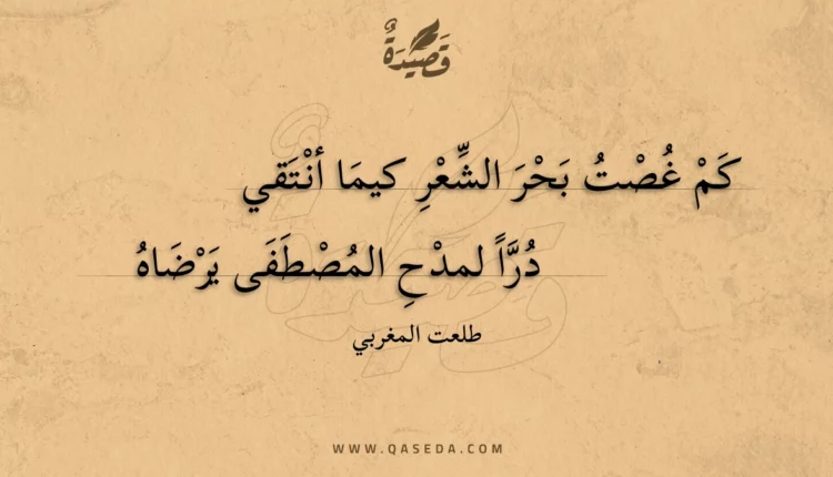 قصيدة أشتاق أنظر وجهه