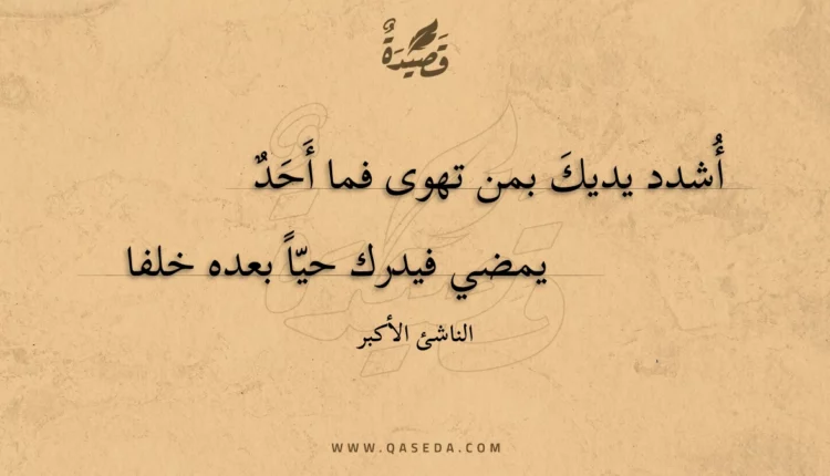 قصيدة أشدد يديك بمن تهوى فما أحد