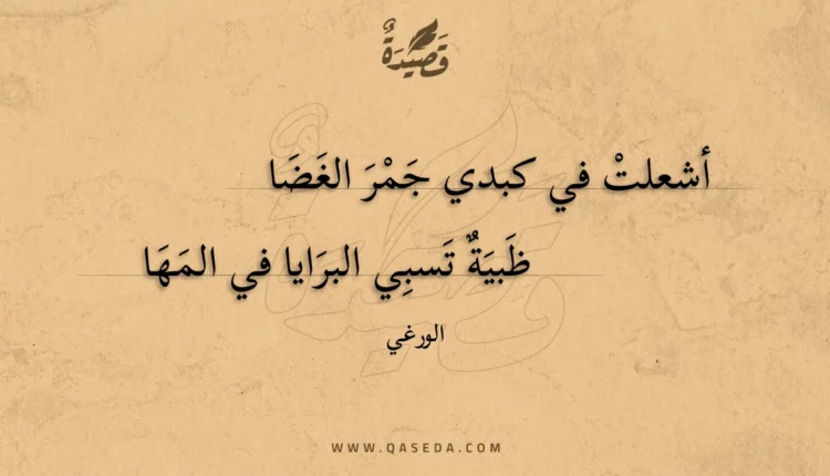 قصيدة أشعلت في كبدي جمر الغضا