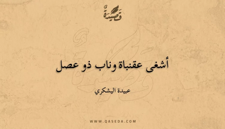 قصيدة أشغى عقنباة وناب ذو عصل