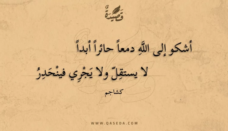 قصيدة أشكو إلى الله دمعا حائرا أبدا