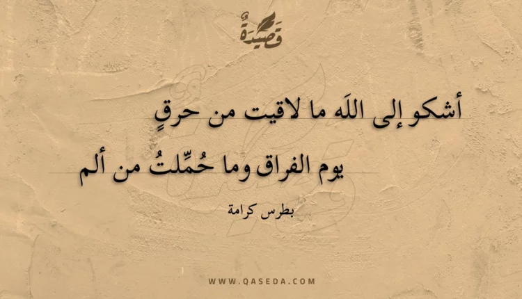 قصيدة أشكو إلى الله ما لاقيت من