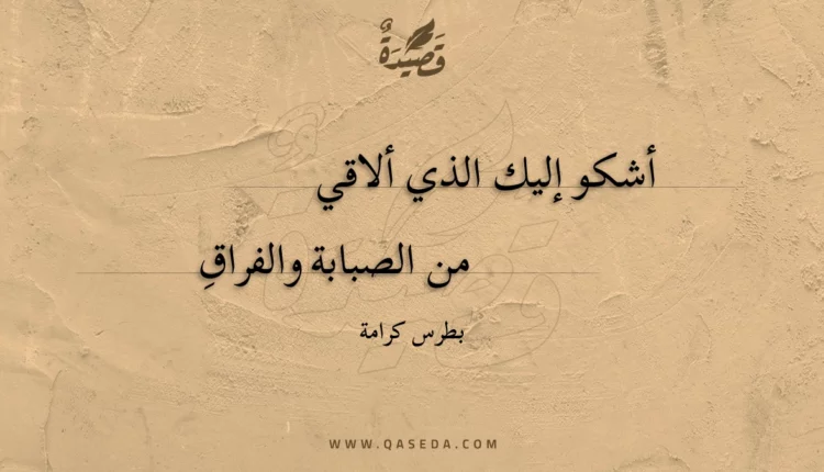 قصيدة أشكو إليك الذي ألاقي