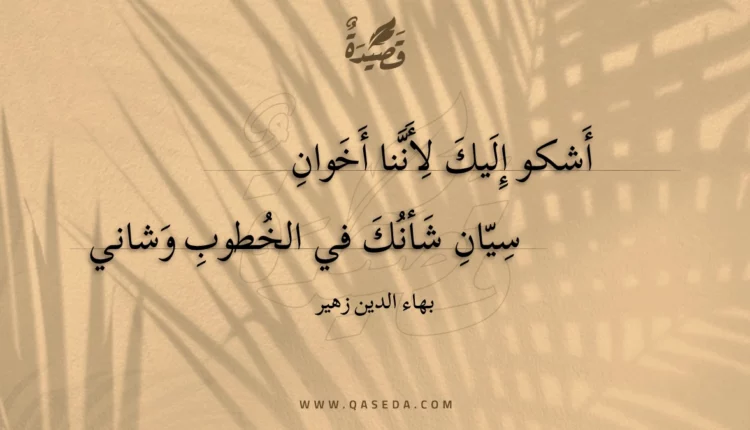 قصيدة أشكو إليك لأننا أخوان
