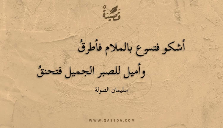 قصيدة أشكو فتسرع بالملام فأطرق