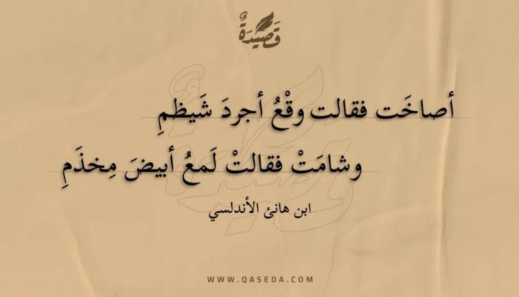 قصيدة أصاخت فقالت وقع أجرد شيظم