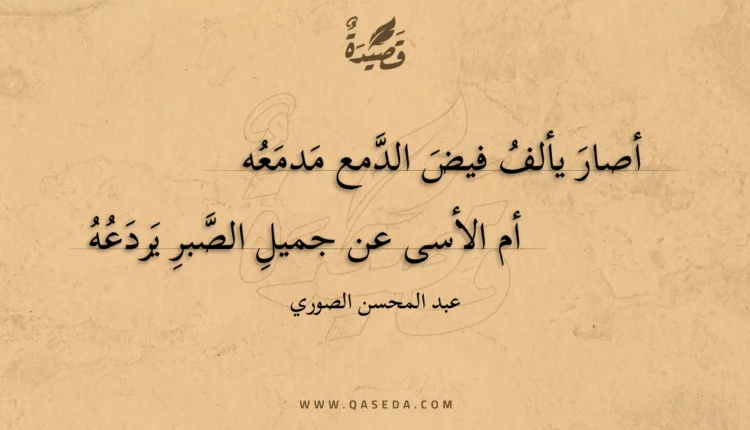 قصيدة أصار يألف فيض الدمع مدمعه